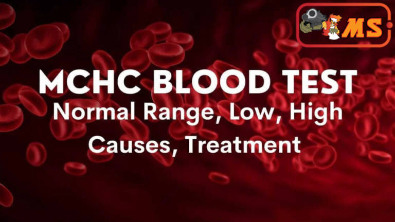 Understanding the MCHC Blood Test: What You Need to Know